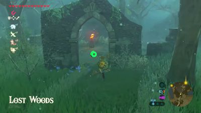 The Lost Woods in Zelda: Breath of the Wild