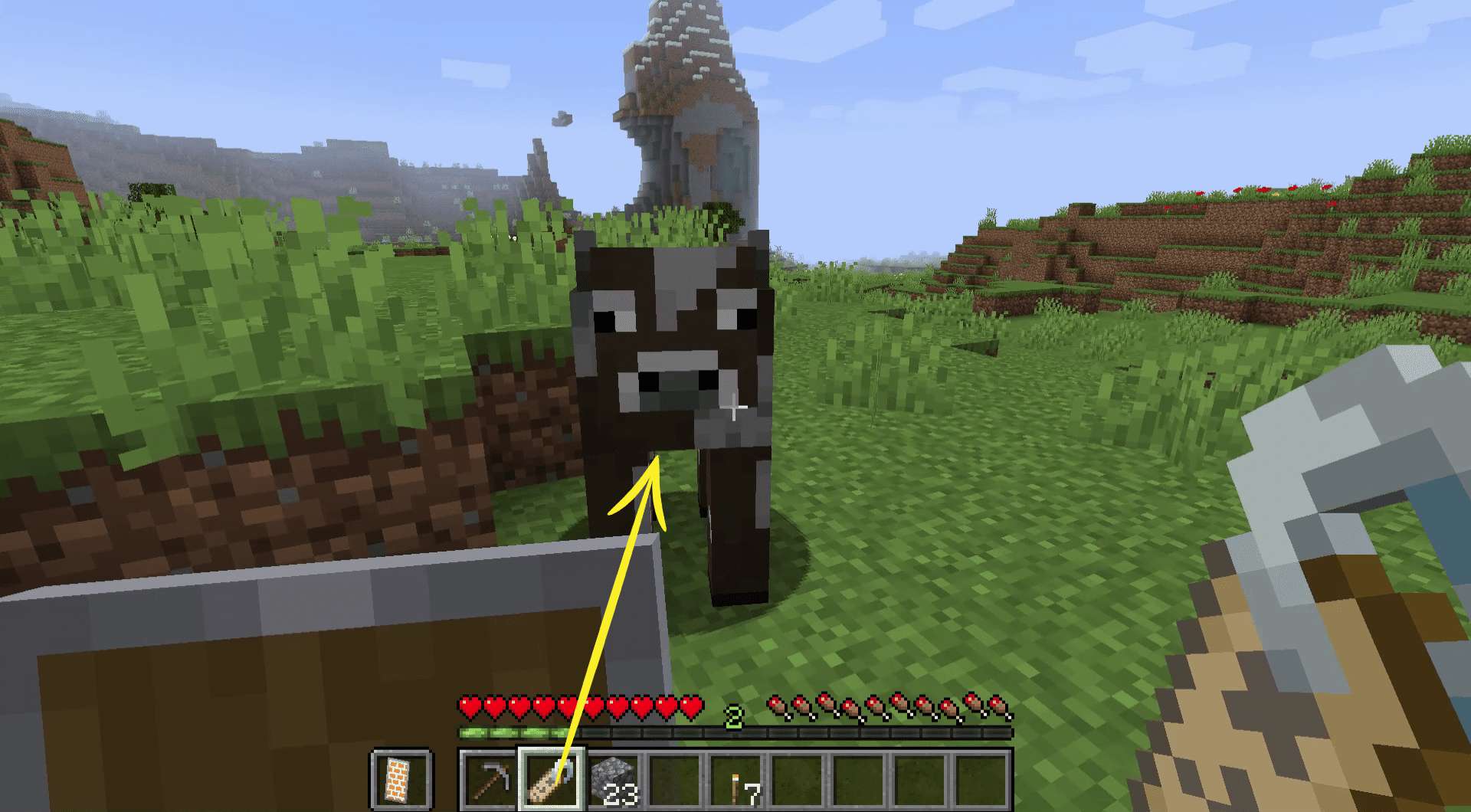 Χρησιμοποιώντας μια ετικέτα ονόματος σε μια αγελάδα στο Minecraft.
