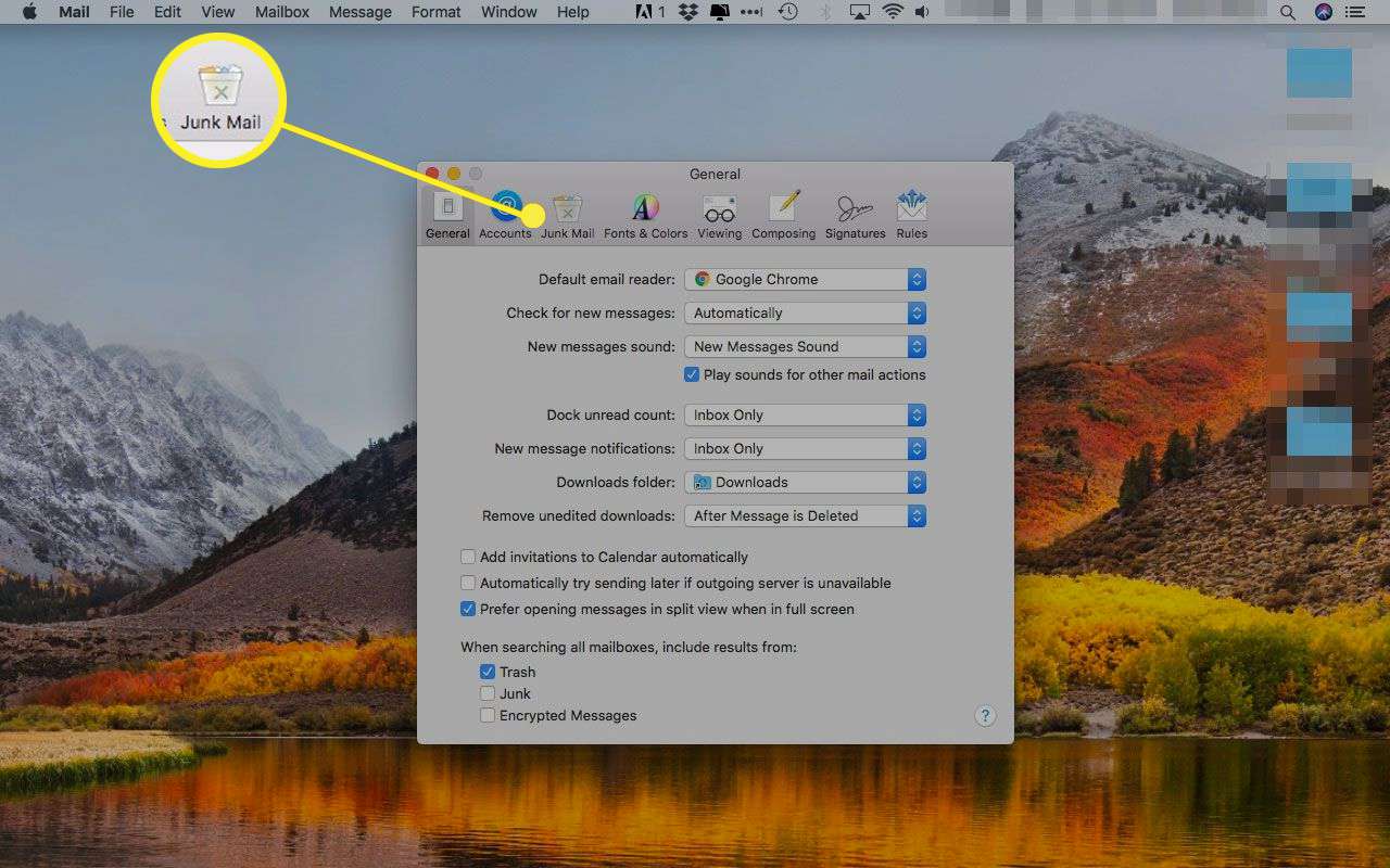 Οι προτιμήσεις της Apple Mail με επισημασμένη την καρτέλα Junk Mail