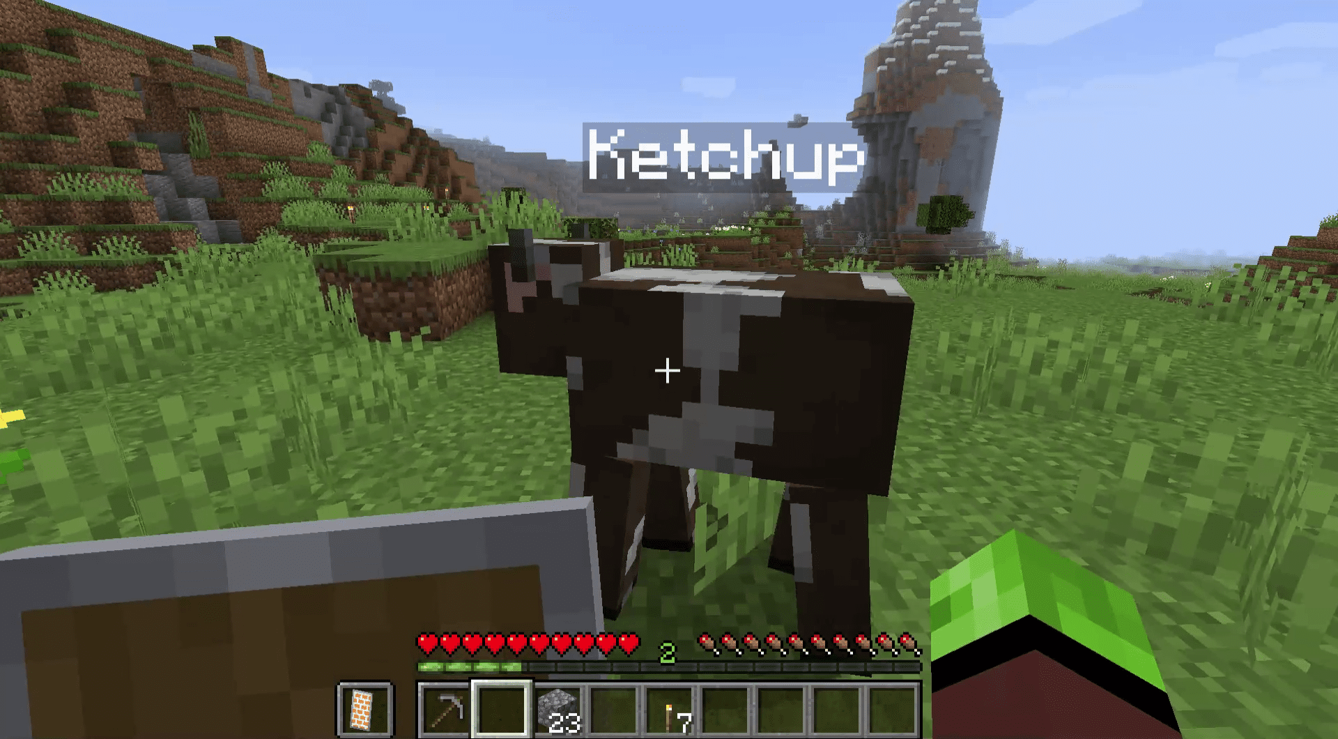 Μια ονομασμένη αγελάδα στο Minecraft.